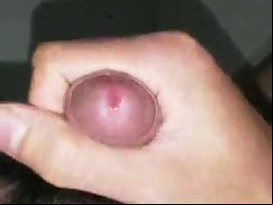 Chim ä‘áº¹p nháº¥t vá»‹nh báº¯c bá»™